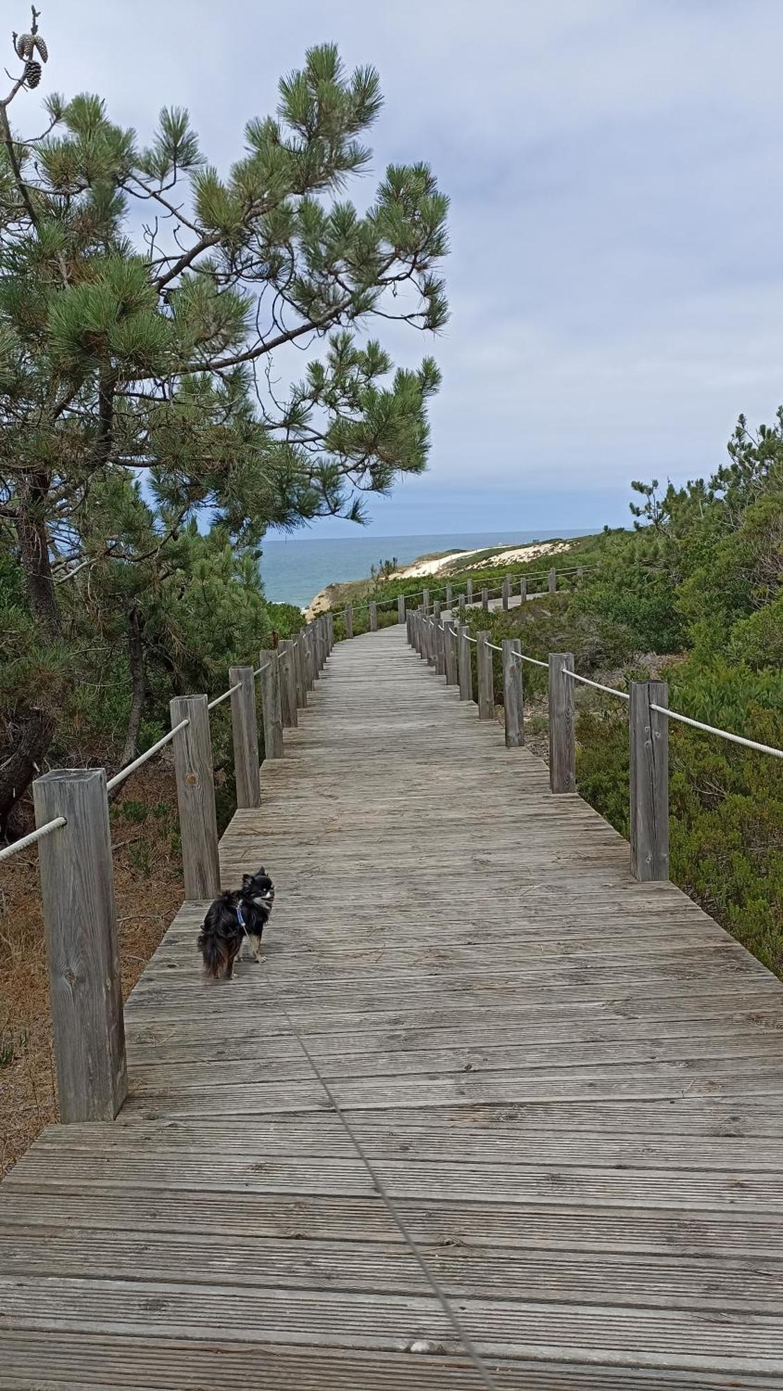 Tinyhouse Tilda - Near Famous Beaches Pataias Exterior photo